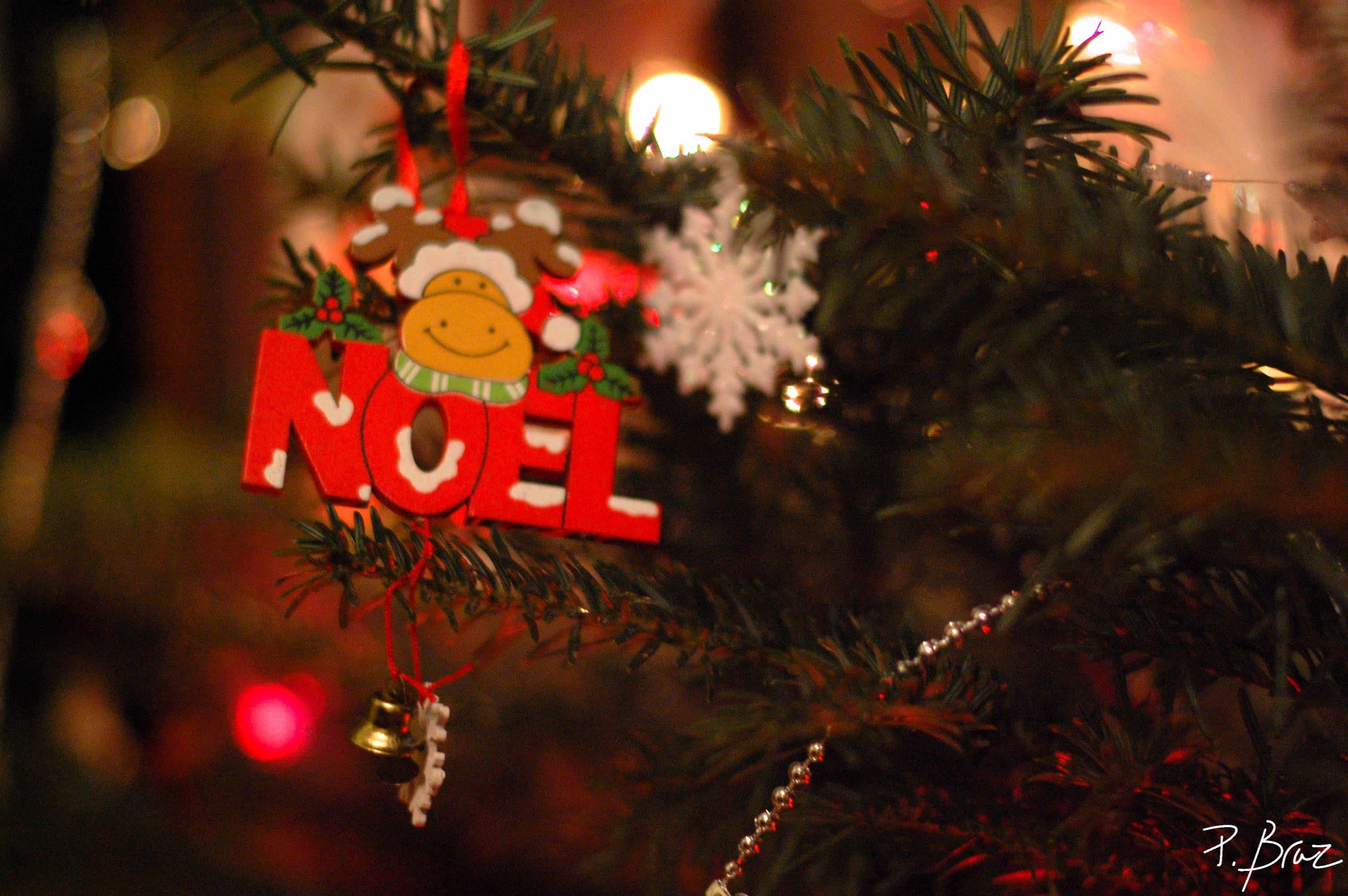 wpid1110-Prepa-noel-2014-6.jpg